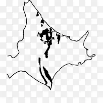 欧洲白兔-兔