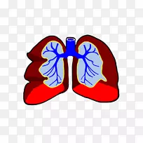 肺呼吸系统循环系统剪辑艺术-跳跃