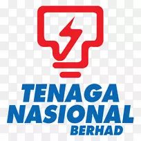Tenaga Nasional能源电力公司-项目组