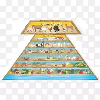 食物金字塔健康饮食金字塔营养-健康