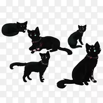 黑猫家养短毛猫须-小猫