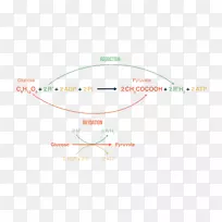 品牌标识线字体线