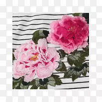 卷心菜玫瑰园玫瑰旗袍粉红色花卉图案