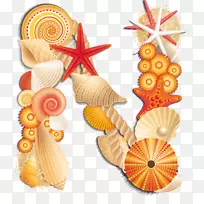 字母seashell-seashell
