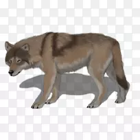 雪莲狼，捷克斯洛伐克狼，阿拉斯加苔原狼，红狼，大灰狼