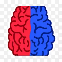 文字搜索大脑游戏应用程序左对右：脑训练练习脑功能的偏侧化