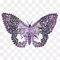蝴蝶珍珠紫色剪贴画-蝴蝶
