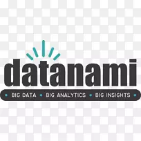 大数据业务数据库徽标首席分析官-业务