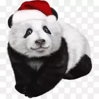 大熊猫红熊猫圣诞剪贴画-圣诞节
