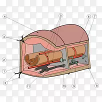 蚯蚓解剖环节动物肾隔