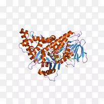 生物剪贴画