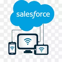 Salesforce.com云计算业务Salesforce营销云Salesforce顾问-云计算