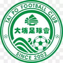 大埔FC香港飞马足球香港FC大埔运动场香港超级联赛足球