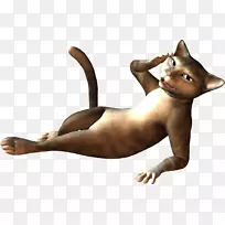 胡须猫尾猫
