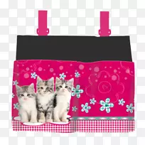 钢笔和铅笔盒猫学校卡帕斯ř公文包-猫