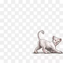 小猫狮子白化病小狗-小猫