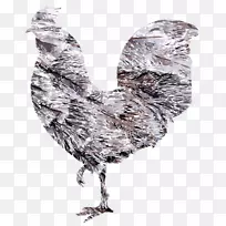 瑞典公鸡花鸡羽夹艺术-羽毛