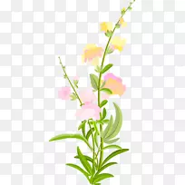 花卉设计切花花瓣植物茎花