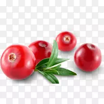 蔓越莓番茄巴巴多斯樱桃配料食物-番茄