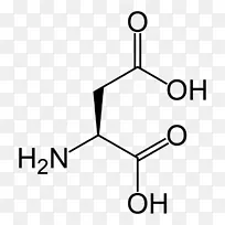 单体核酸天冬氨酸氨基酸