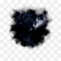 桌面壁纸毛皮白色鼻子字体-电脑