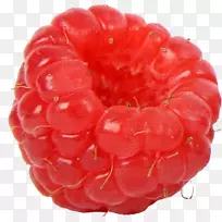 红莓果露珠覆盆子