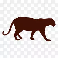 豹猫美洲狮猫