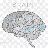 脑、大脑、人工智能、神经科学、神经反馈-脑