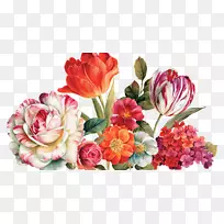 花园玫瑰花卉设计绘画艺术