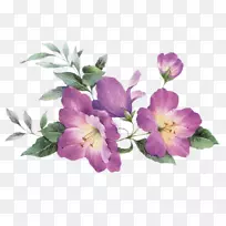 紫红色花束蓝色紫罗兰花