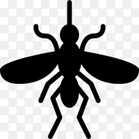 蚊媒蝇类害虫防治