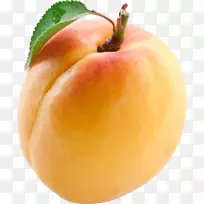 砧木摄影水果杏桃杏