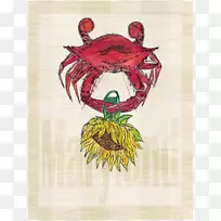 蒙多德科圣诞岛红蟹艺术黑眼苏珊蟹