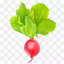 摄影蔬菜食品春绿菜园萝卜-蔬菜