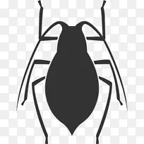 Dés感染-désinsectisation-法国蟑螂害虫软件缺陷-昆虫