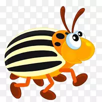 科罗拉多马铃薯甲虫蜂夹艺术-甲虫