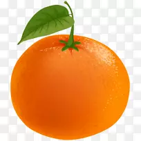 金银花橘子血橙剪贴画橘子