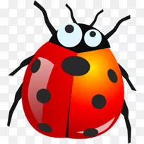 瓢虫软件虫夹艺术-甲虫
