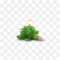 蔬菜菠菜食品保健杂货店-蔬菜