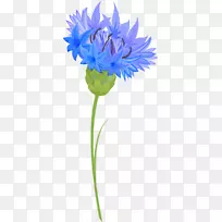 蓝色玉米花