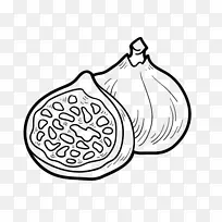 绘图着色书普通无花果食品