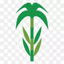 叶植物茎叶