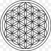 神圣几何重叠圆网格绘制