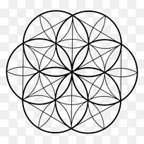 神圣几何学重叠圆网格符号