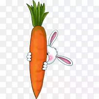 胡萝卜蛋糕兔夹艺术-胡萝卜