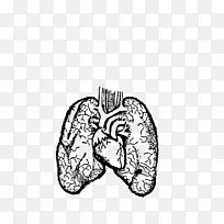 肺画人体剪贴画