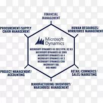 Microsoft Dynamic crm组织文档徽标-microsoft