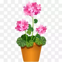 花盆室内植物剪贴画-花