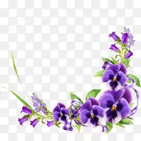 紫罗兰花卉设计-紫罗兰