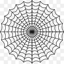 蜘蛛网着色书狼蛛绘图-蜘蛛